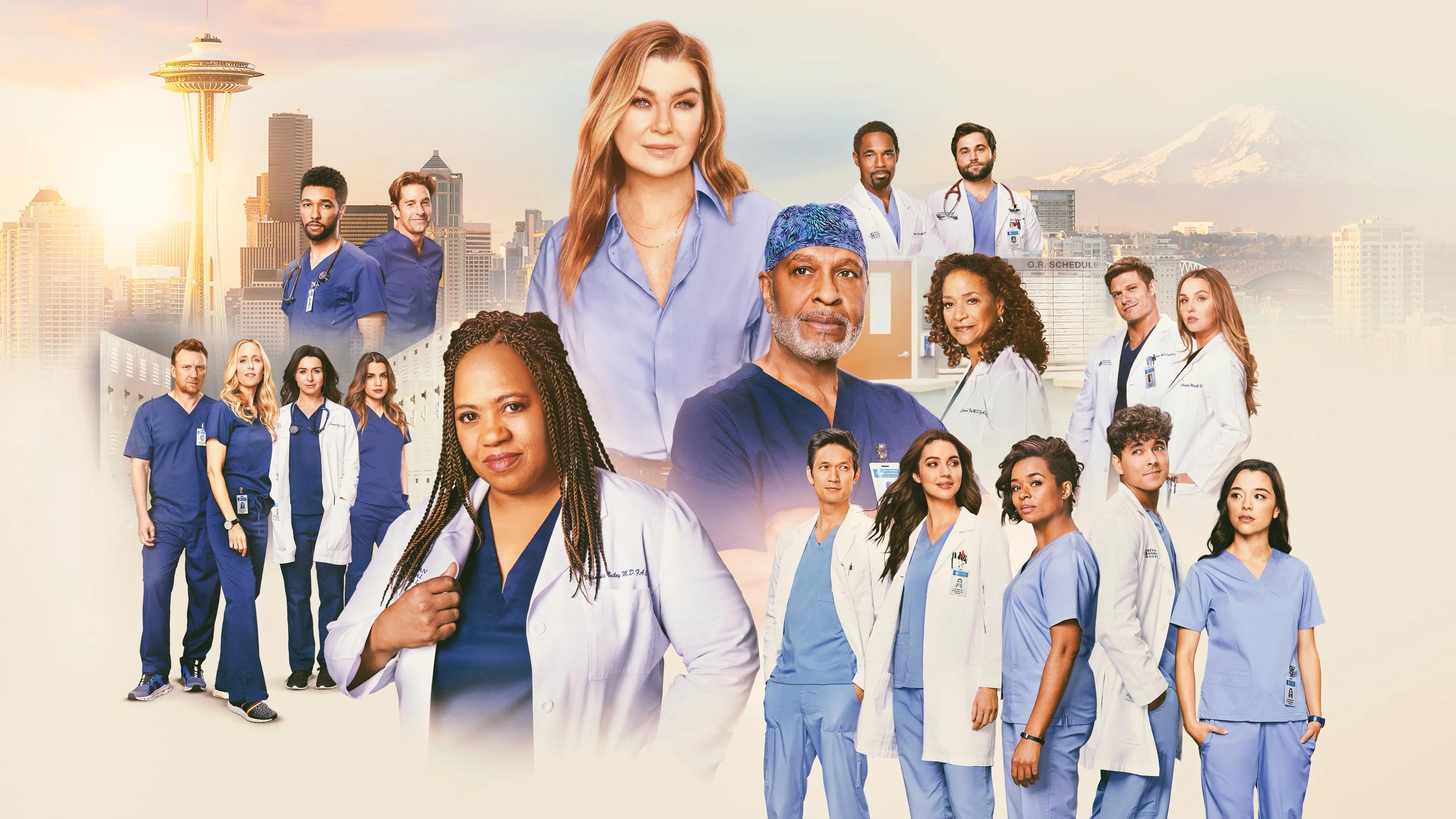 Grey's Anatomy - Season 14