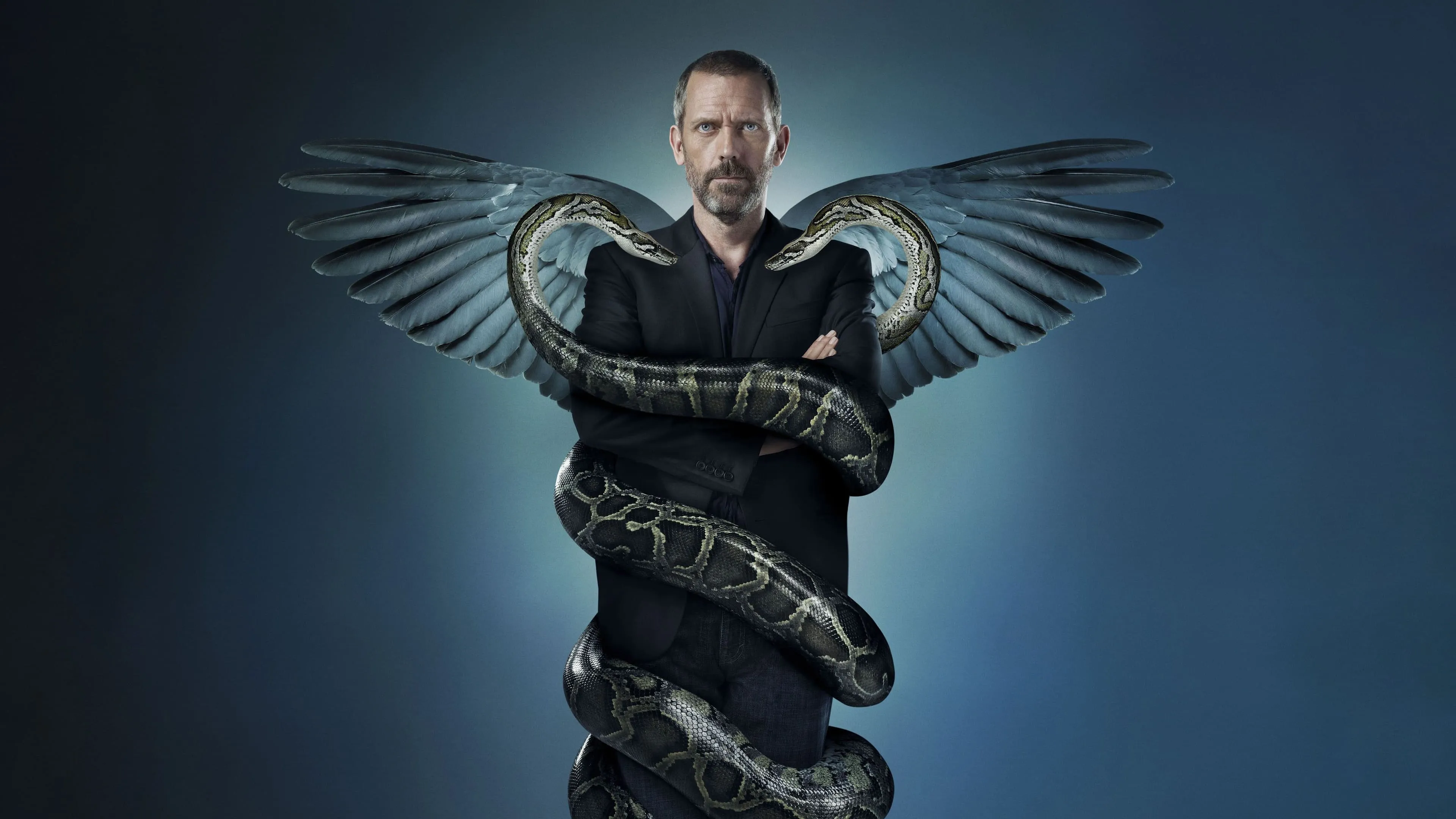 House - Season 8
