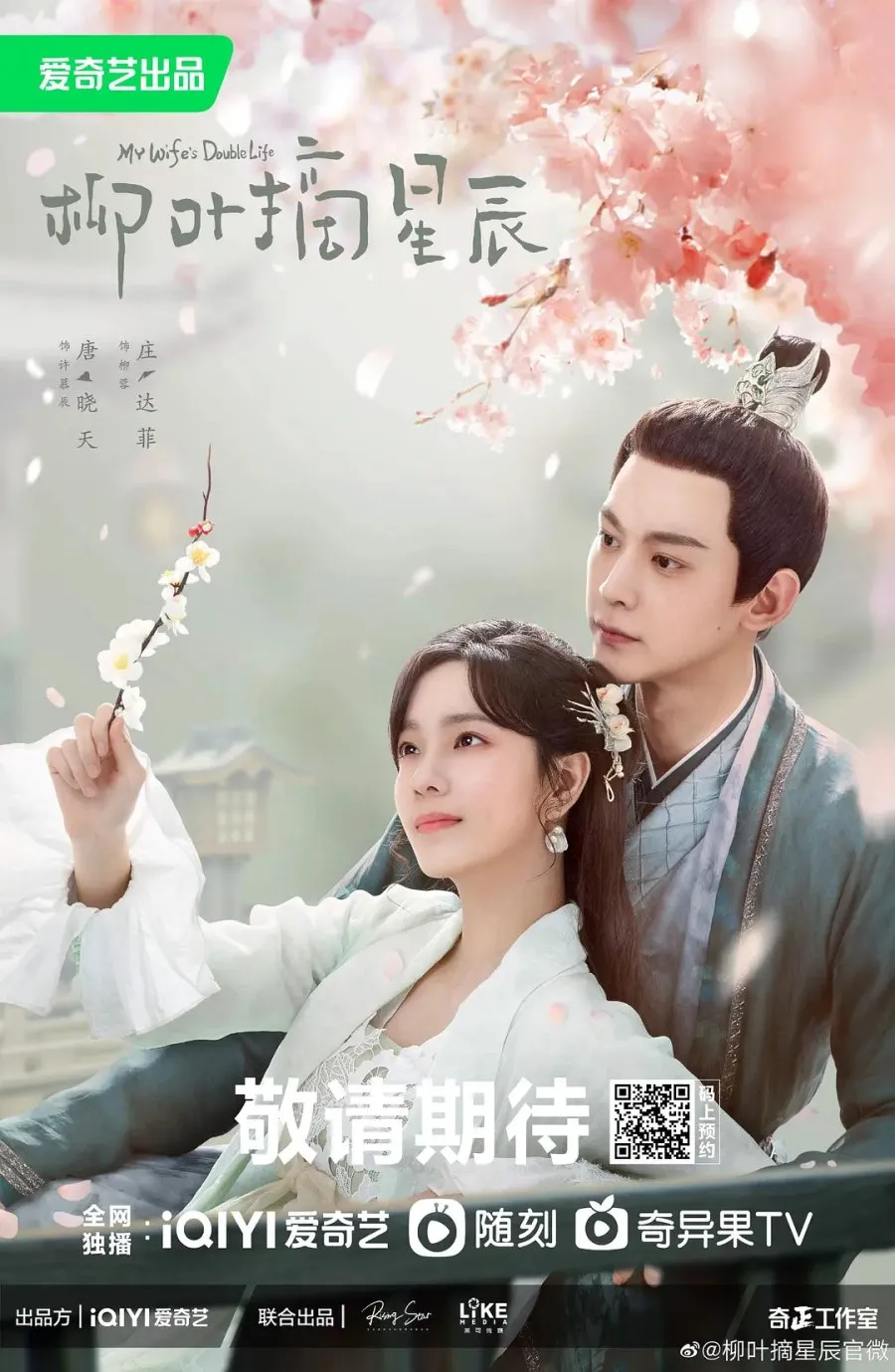 My Wife's Double Life