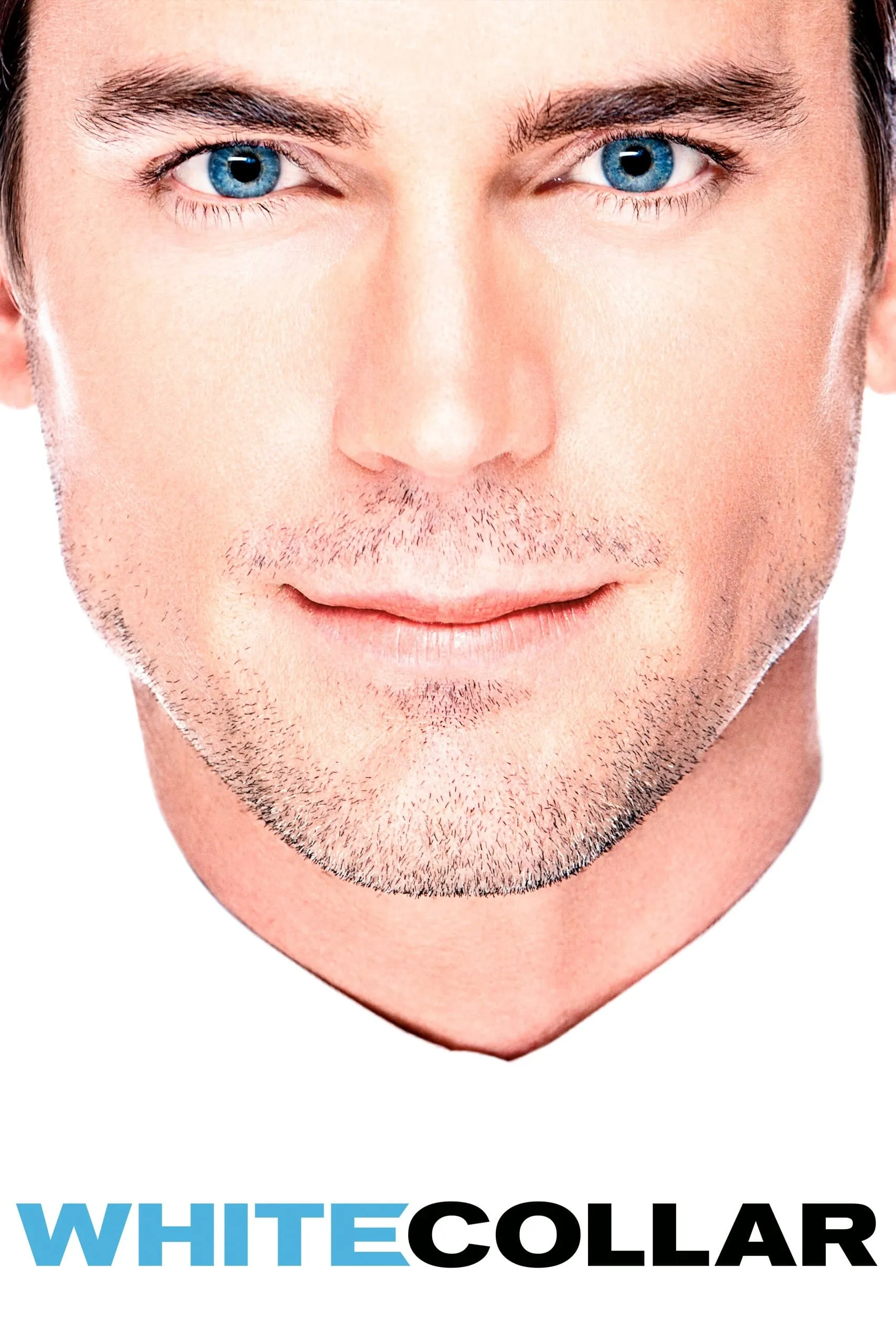 White Collar - Season 5